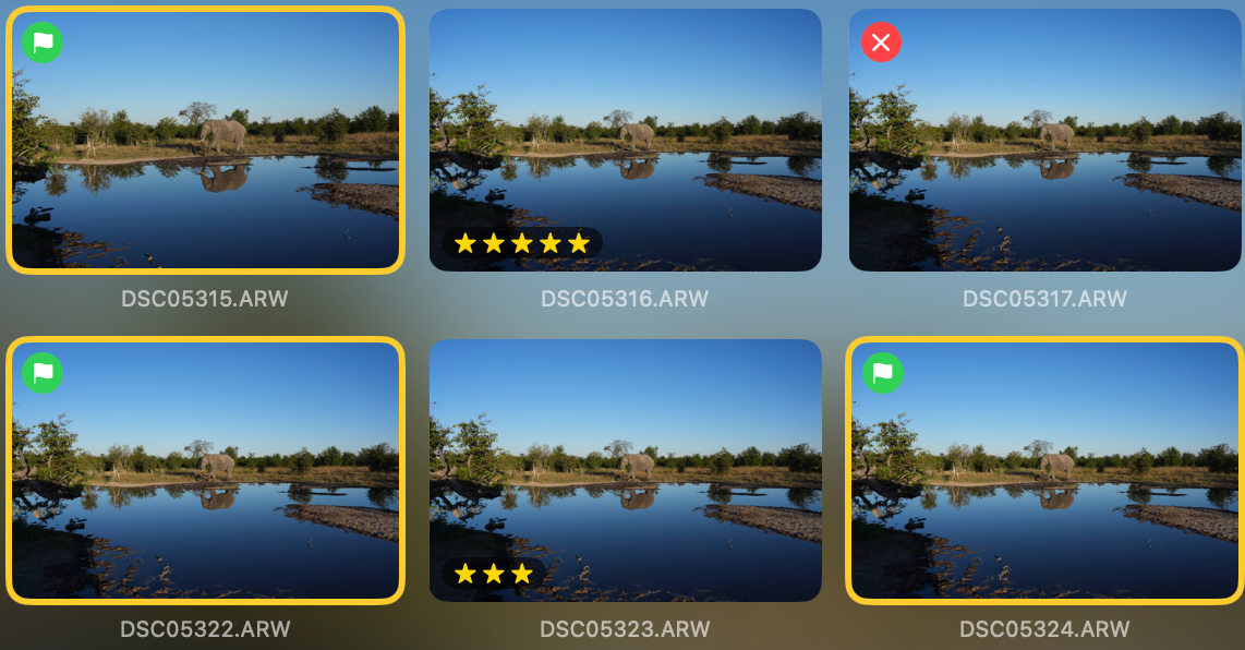 Magnified excerpt of the Opura Select grid: photos with flags, stars and file names