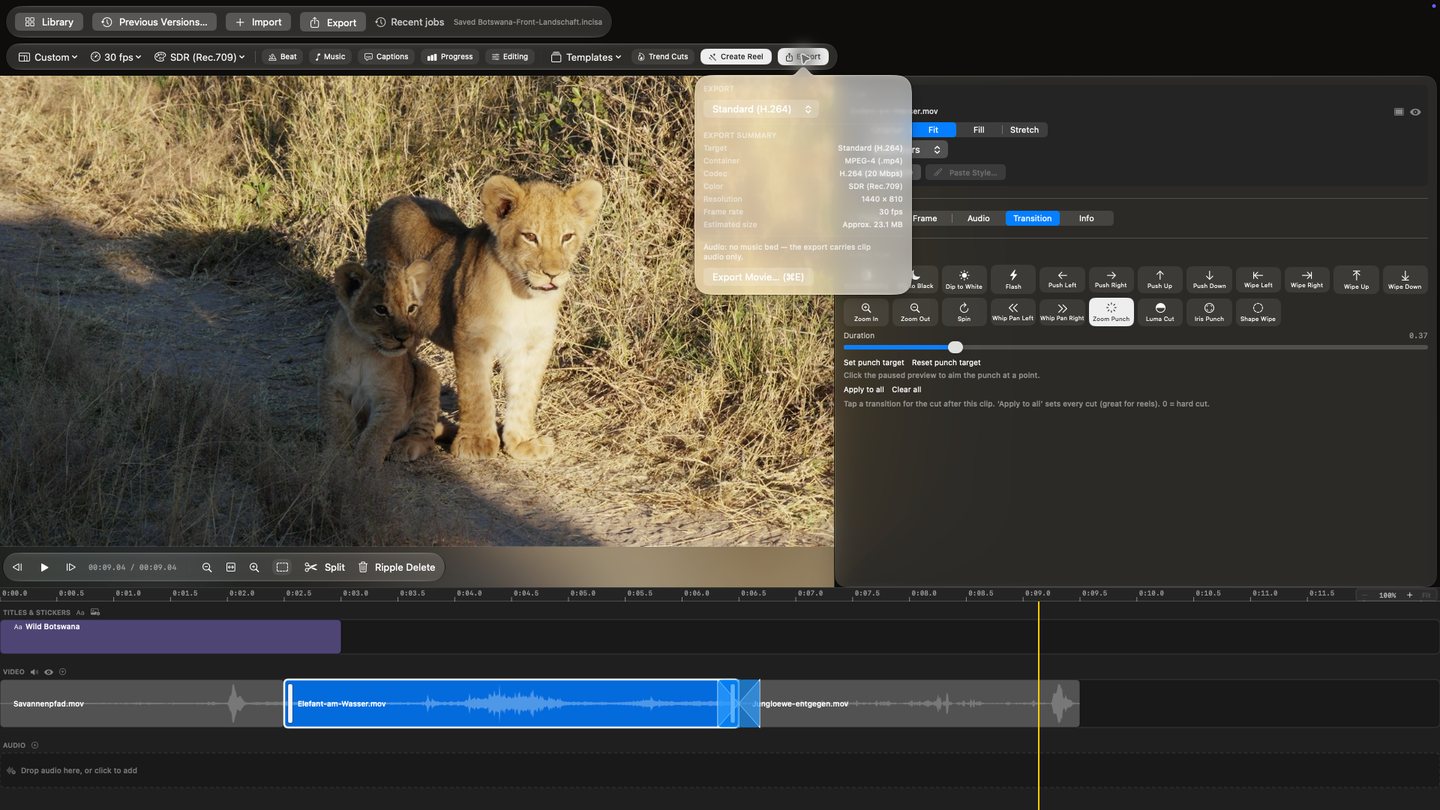Opura Video export summary with container, codec, resolution, frame rate, estimated size and front-facing lion cubs.