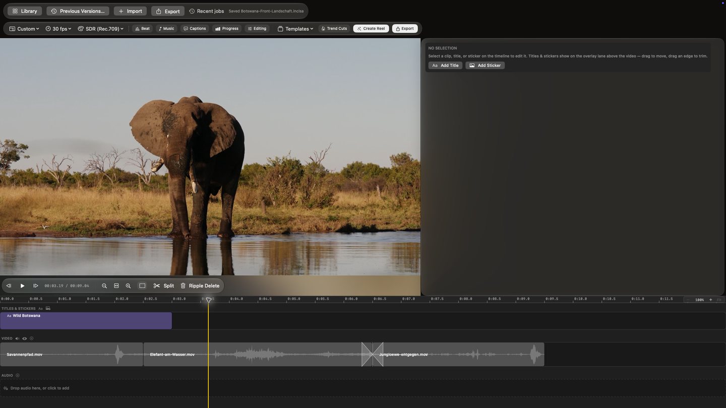 Opura Video timeline with a title and three clips: a savanna path, a front-facing elephant and approaching lion cubs.