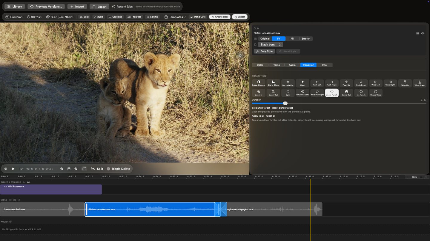 Opura Video transition inspector with Zoom Punch selected and front-facing lion cubs in the preview.