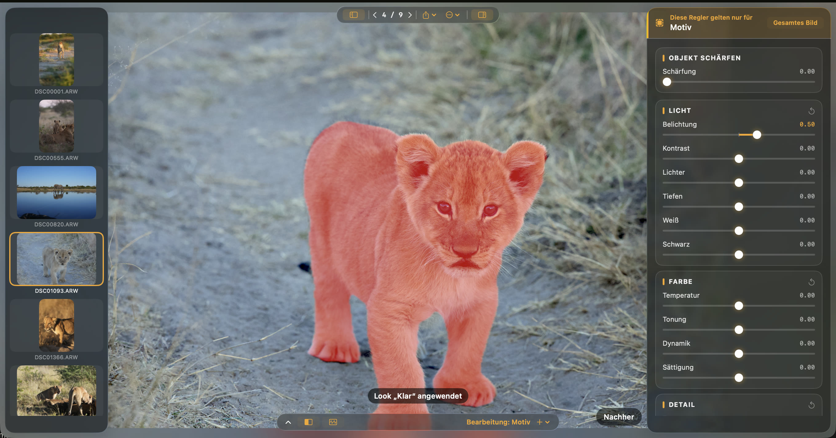 Opura Photo showing a subject mask as a red overlay on a lion cub.