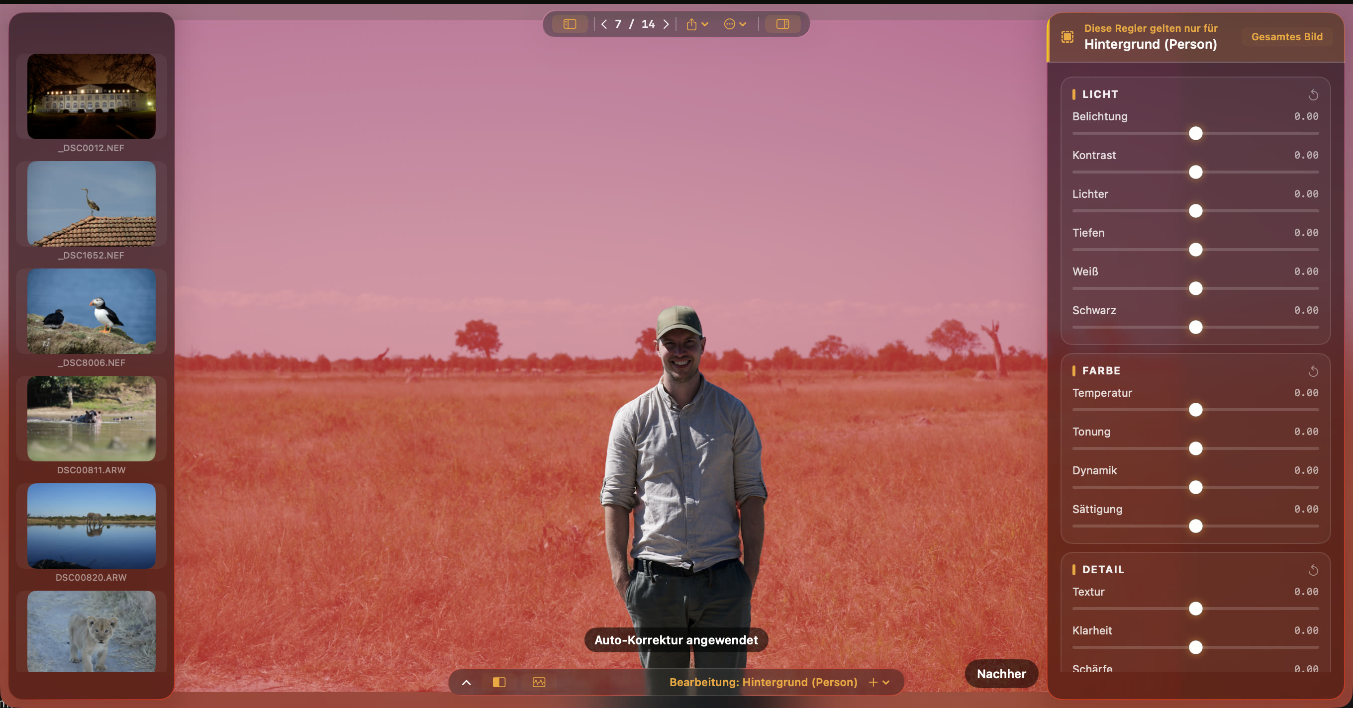 Person, face, and background mask controls